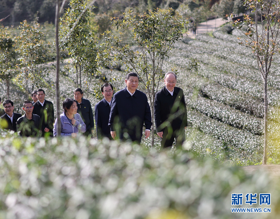 习近平在福建考察时强调 在服务和融入新发展格局上展现更大作为 奋力谱写全面建设社会主义现代化国家福建篇章