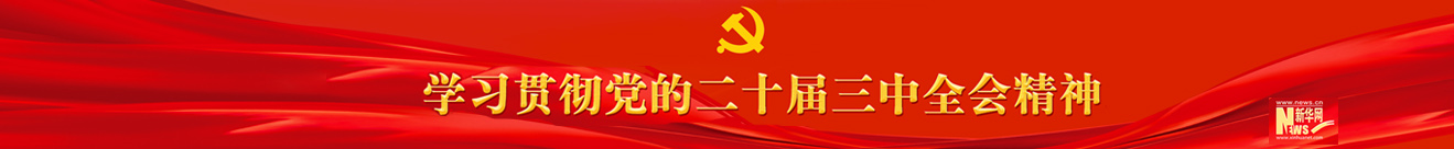 学习贯彻党的二十届三中全会精神